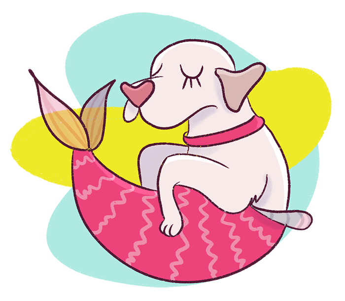 This 7 day email course will teach you to start a blog that is profitable from scratch. You will understand the fundamentals of blogging like choosing a profitable niche, identifying your target audience, learning how to write viral blog posts and more! Dog as a Mermaid Illustration.